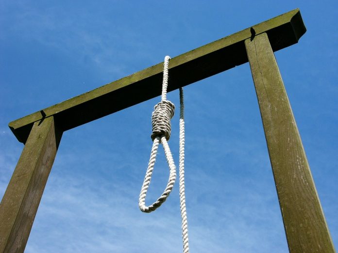 noose