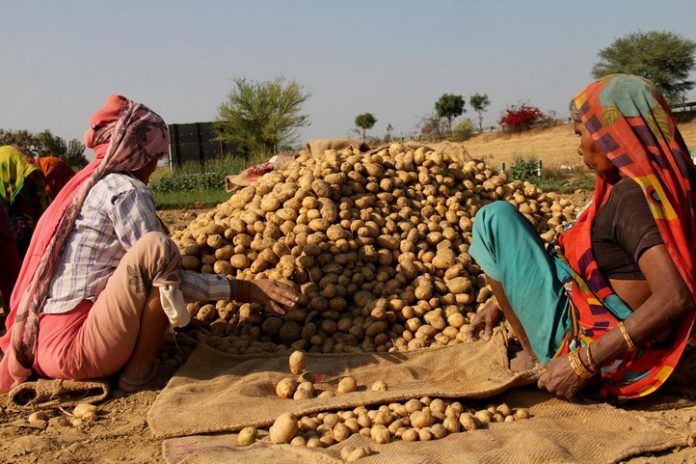 PepsiCo Withdraws Lawsuits Against Gujarat Potato Farmers