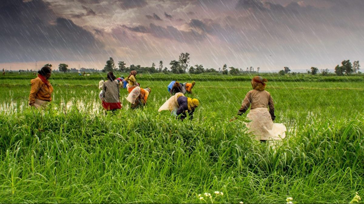 Latest news on farmer in India | ThePrint.in