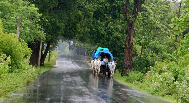 Latest news on Monsoon | theprint.in Monsoon in south India | Commons