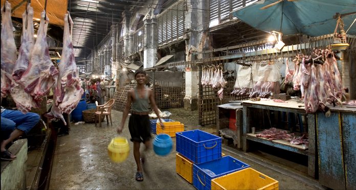 Latest news on West Bengal Meat market