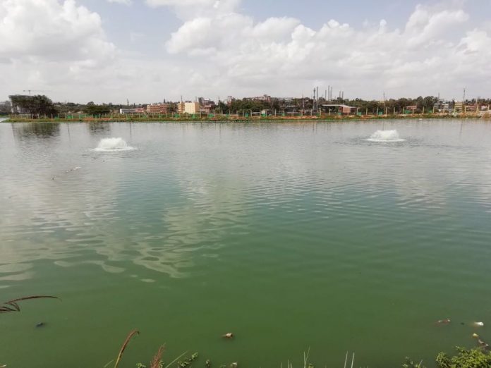 Latest news on Environment | ThePrint.in Hebbagodi Lake