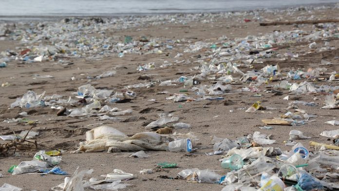 Latest news on Plastic waste | ThePrint.in Plastic pollution near sea