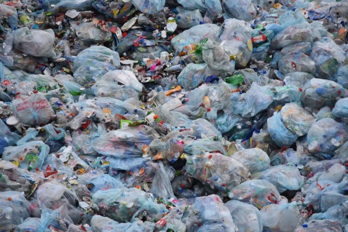 Latest news on pollution | ThePrint.in
