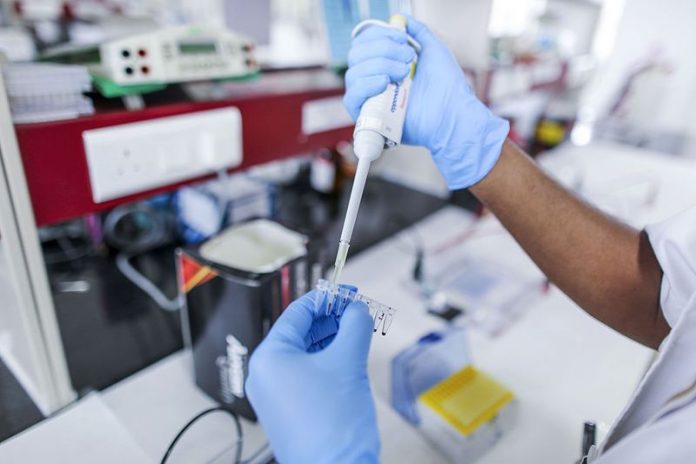 Latest news on Science | ThePrint.in Crispr and related new biotechnologies might lead to the engineering of new bioweapons | Dhiraj Singh/Bloomberg
