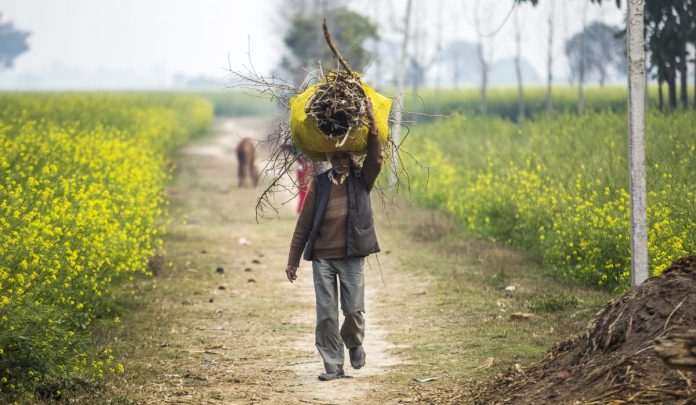 Latest news on poverty and inequality in India | ThePrint.in Poverty and inequality in India