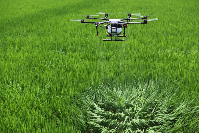 CHINA-AGRICULTURE-SCIENCE