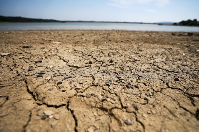 Latest News on Climate Change | ThePrint.in Representational image