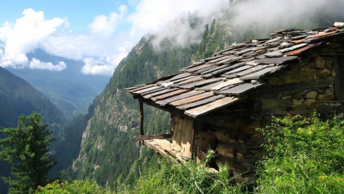 Latest news on Himachal Pradesh | ThePrint.in Marijuana farm in Malana