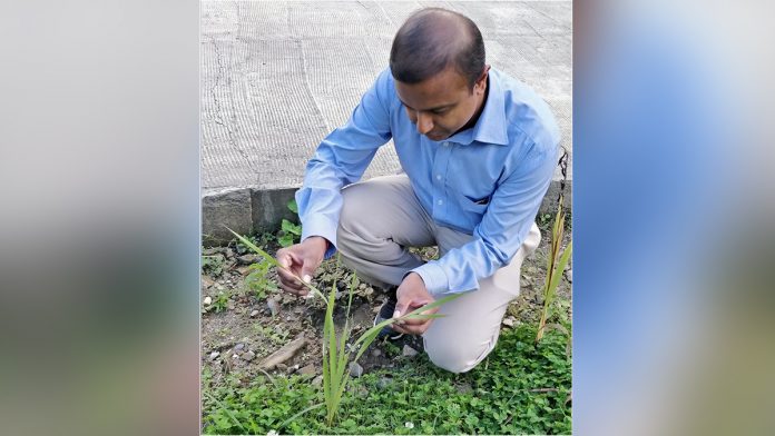 Latest news on Science | ThePrint.in Dr Venkata Krishnan studying the structure of a plant | By Special Arrangement