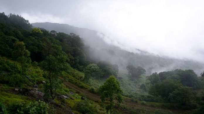 Latest news on Western Ghats | ThePrint