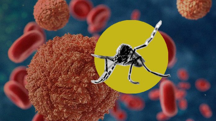 Latest news on mosquitoes | theprint.in Illustration by Andrew Clarance | ThePrint