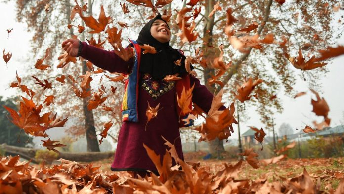 Autumn in Srinagar Srinagar: A girl plays with the Chinar leaves at the Mughal Garden, during autumn in Srinagar, Sunday, November 18, 2018. Autumn which sets in from September to November is known as golden season of the valley when the colours of Chinar leaves turn into golden red. Kashmiris collect these Chinar leaves and make charcoal to use during winter to beat the cold. (PTI Photo/S Irfan) (PTI11_18_2018_000078B)