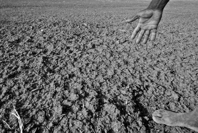 Latest news on farmer suicides in India | ThePrint.in Representational image