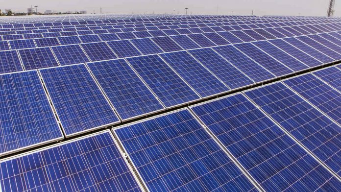 Latest news on Pallonji Mistry | ThePrint Solar panels