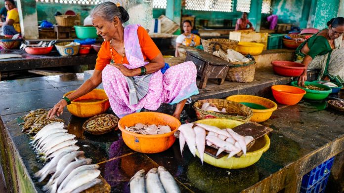 Latest news on fish | ThePrint.in