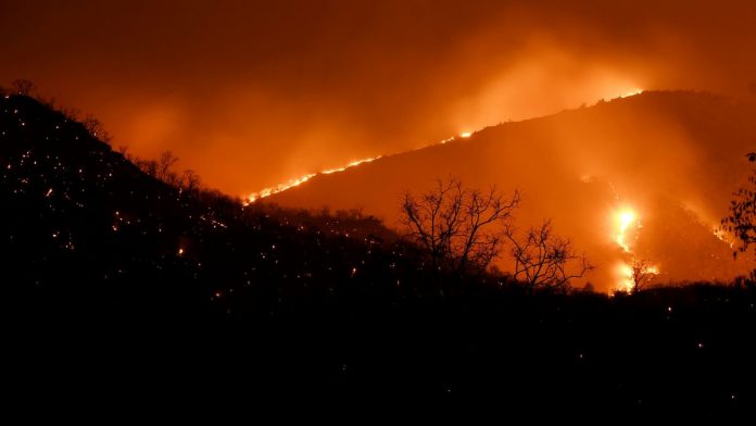 Forest fire at Bandipur Tiger Reserve Flames arise after a forest fire at Bandipur Tiger Reserve | PTI