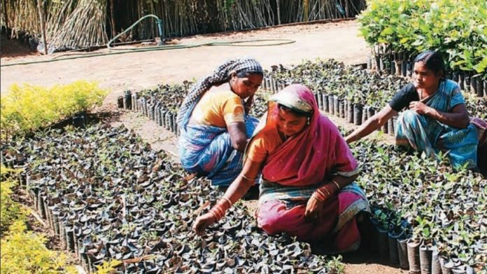 Latest news on Budget 2019 | Low wage rate & delayed payments among the biggest problems | ThePrint Women working on a project under MGNREGA | MGNREGA report
