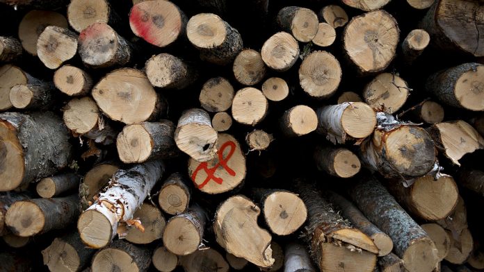 Skyscrapers Made of Timber Make Comeback, Nudged by Google Unit A large pile of unprocessed logs| Daniel Acker/Bloomberg