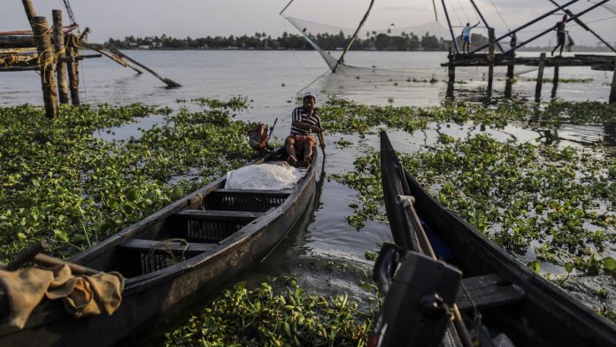 Fishermen Operate Chinese Fishing Nets At Fort Kochi As Government Food Policies Keep Prices In Check