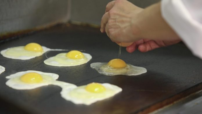 Latest news on eggs | ThePrint