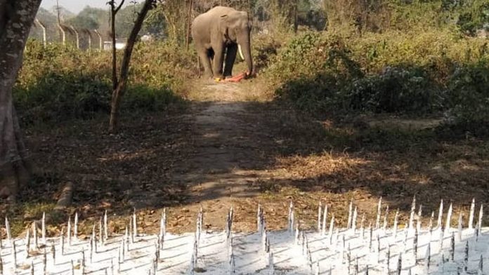 The Indian Army installed a six -long metal spikes in Assam