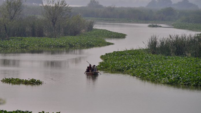 Latest news on Yamuna | ThePrint.in River Yamuna in Delhi