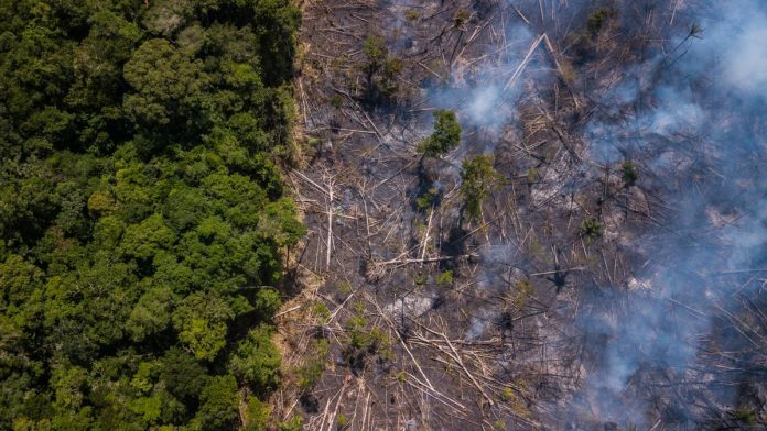 Views Of Amazonian States As Brazil Mine Disaster Prompts Bolsonaro To Rethink Environment Burnings outside an indigenous reservation in Roraima state in Brazil. | Photo: Dado Galdieri | Bloomberg